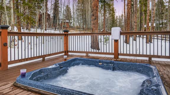 Quicksilver Lodge