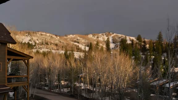 Black Bear Chalet