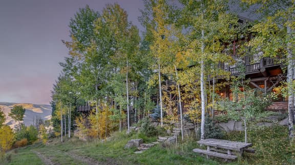 Bearberry Lodge